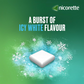 Nicorette - Icy White Flavour Chewing Gum